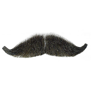 Baffi castani Maigret